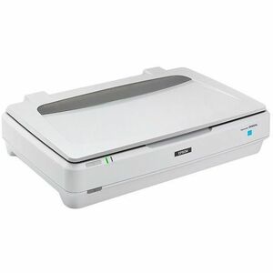 Epson B11B257201 Expression 13000XL Escáner de Cama Plana/Película de Formato Grande - 2400 dpi Óptico