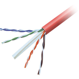 Belkin International INC A7L704-500-RED Cable UTP Belkin Cat. 6