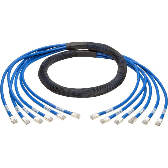 Eaton N261-010-6MM-BL Tripp Lite Series Cat6a 10G Pre-Terminated Copper Trunk Assembly (6x RJ45 M/M), Blue, 10 ft. (3.05 m)