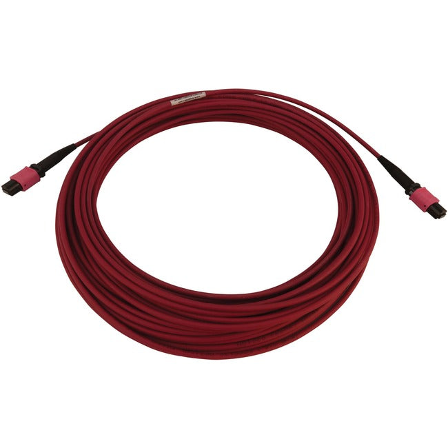 Eaton N845B-15M-12-MG Tripp Lite Series 100G Multimodo 50/125 OM4 Cable de Fibra Óptica (12F MTP/MPO-PC H/H), LSZH, Magenta, 15 m (49.2 ft.)
