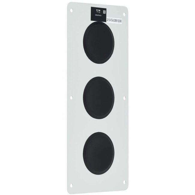 Eaton SRGP2KO Placa Divisora de Cable Eaton Tripp Lite Series SmartRack para Gabinetes de Recinto Clasificado NEMA, 3 Puertos (2 pulg.)