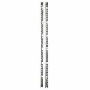 APC by Schneider Electric AR7511 APC NetShelter Cable Management, Vertical Cable Manager, for NetShelter SX 42U, Black, 60 x 1930 x 10 mm