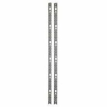 APC by Schneider Electric AR7511 APC NetShelter Cable Management, Vertical Cable Manager, for NetShelter SX 42U, Black, 60 x 1930 x 10 mm